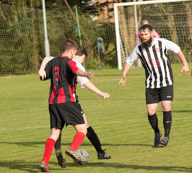 虚拟观赛体 虚拟观赛体