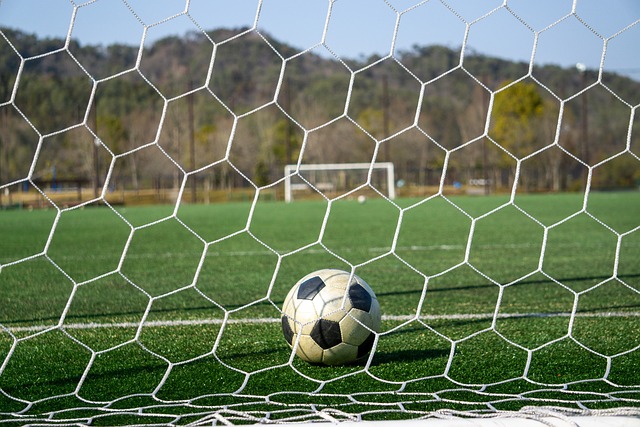 们对其状态 们对其状态