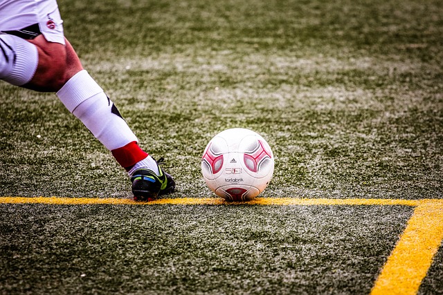 队提供了很 队提供了很