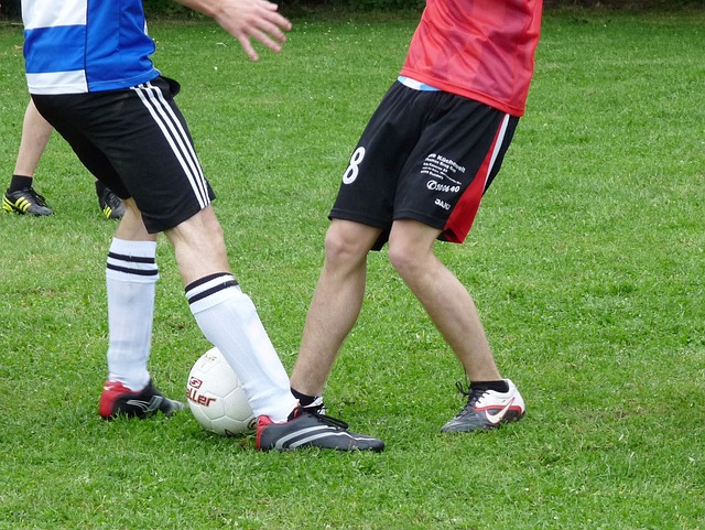 情与智慧 情与智慧