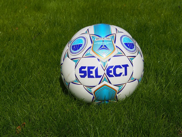 多样化的比 多样化的比