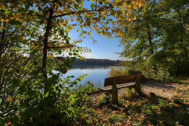 港隊贏得了 港隊贏得了